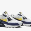 Nike Air Max 90 Essential 'Michigan' AJ1285-101