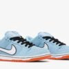 Nike SB Dunk Low Pro 'Gulf' BQ6817-401