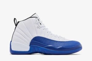 Air Jordan 12 'Blueberry' CT8013-140