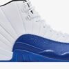 Air Jordan 12 'Blueberry' CT8013-140