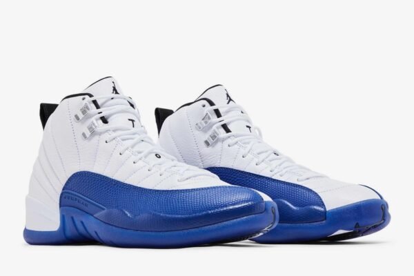 Air Jordan 12 'Blueberry' CT8013-140